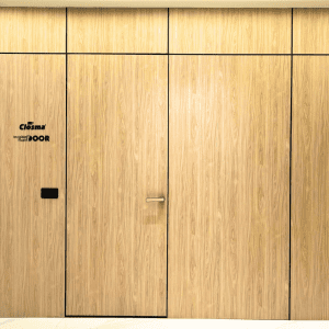 Invisible Flush Wooden Door
